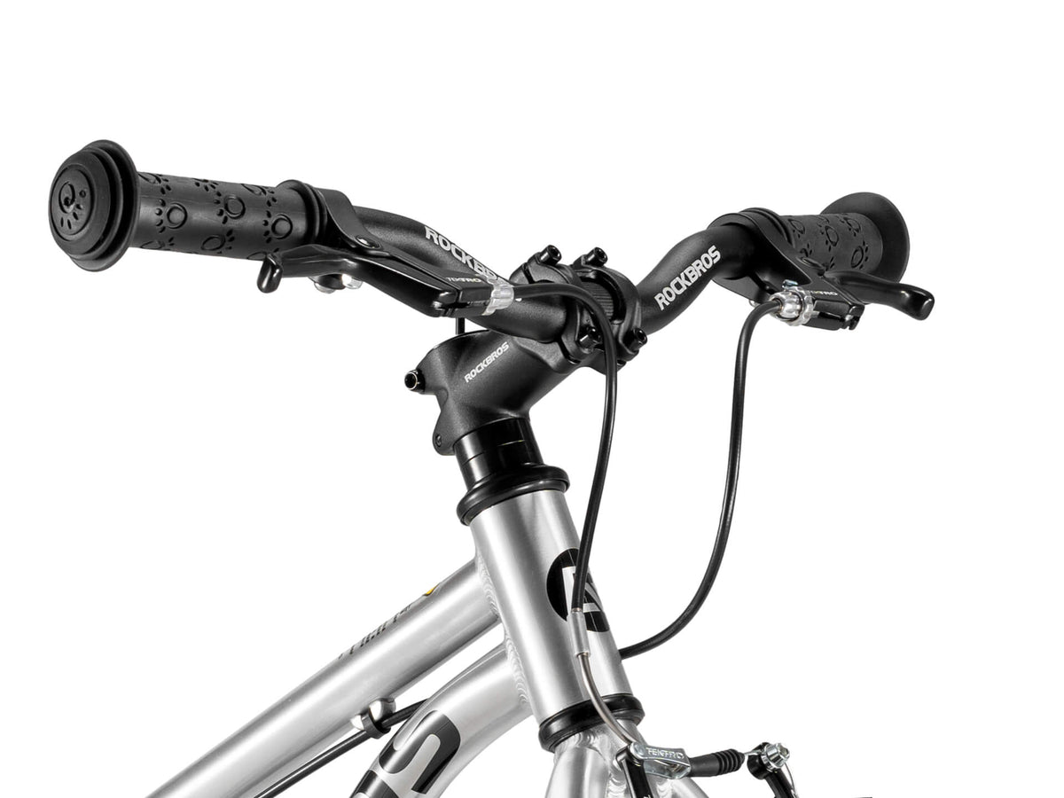 Kinderfahrrad Darwin -Riemenantrieb 20 8-12 Jahren