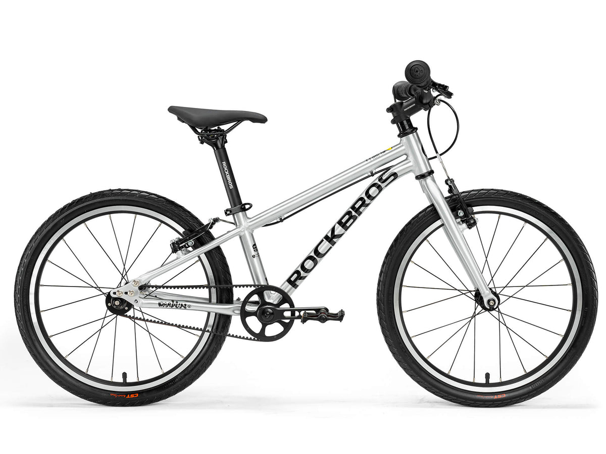 Darwin -Riemenantrieb 20" für Kinder