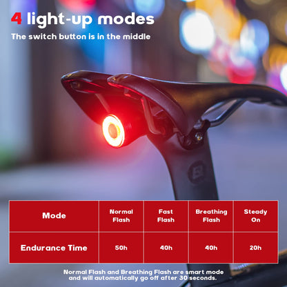 ROCKBROS Q5 Smart Bike Rear Light IPX6 Waterproof LED Brake Light USB Charging