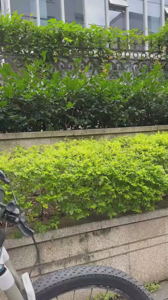Ergonomische fietshandvatten met gel en lock-systeem