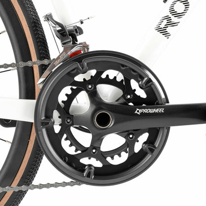 SPIN P2M Flat Bar Road Bike with Carbon Fork 2x10 Speed